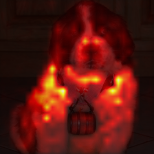 675_7_attn.png