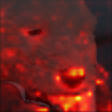 676_8_attn.png