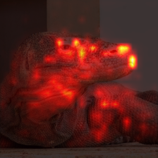 679_0_attn.png