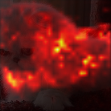 679_1_attn.png