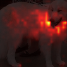 680_2_attn.png