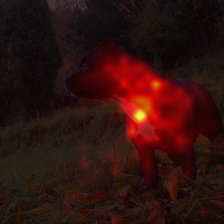 681_8_attn.png