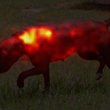 681_9_attn.png
