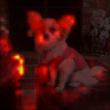 682_2_attn.png