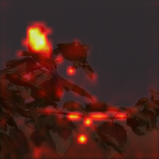 684_8_attn.png
