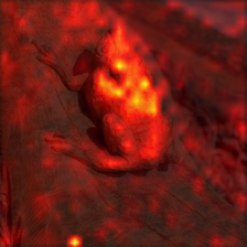 695_8_attn.png