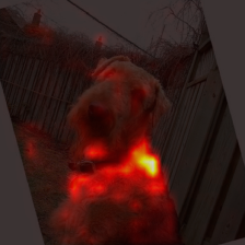 696_0_attn.png
