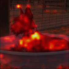 696_8_attn.png