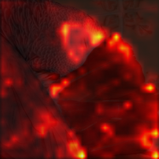 698_0_attn.png
