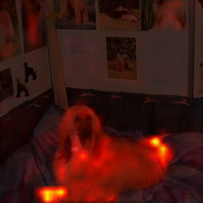 698_1_attn.png