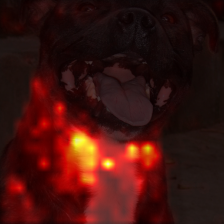 699_0_attn.png