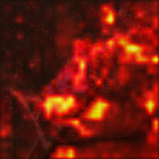 69_0_attn.png