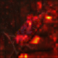 704_0_attn.png