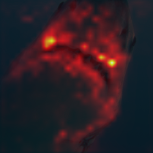 705_0_attn.png