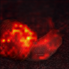 705_6_attn.png