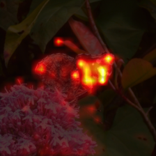 707_4_attn.png