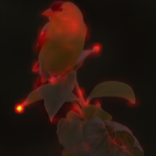 707_6_attn.png