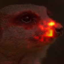 713_1_attn.png