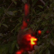 713_8_attn.png