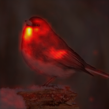 715_0_attn.png