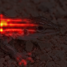 715_1_attn.png