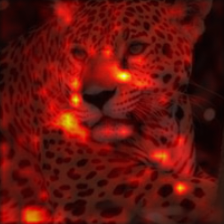 718_0_attn.png