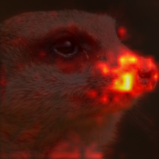 719_0_attn.png