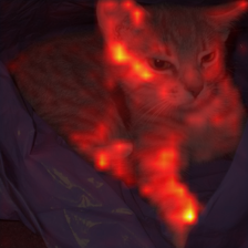719_6_attn.png