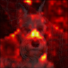 728_7_attn.png