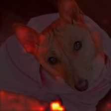728_9_attn.png