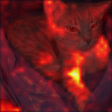 73_0_attn.png