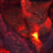 743_1_attn.png