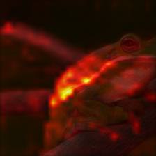 773_1_attn.png