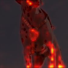 775_6_attn.png