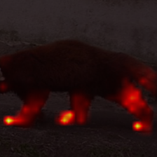 775_8_attn.png
