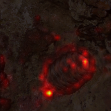 776_1_attn.png