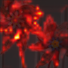 77_2_attn.png