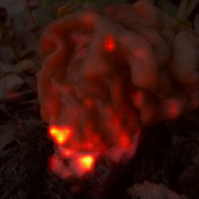 784_6_attn.png