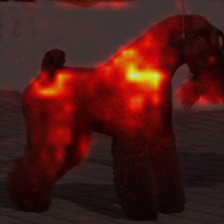 798_1_attn.png