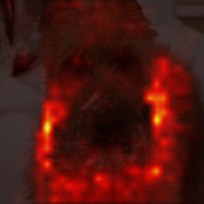 798_2_attn.png