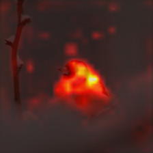 798_7_attn.png