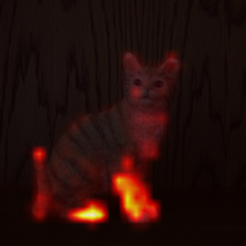 811_1_attn.png
