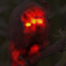 811_3_attn.png