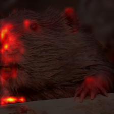 811_5_attn.png