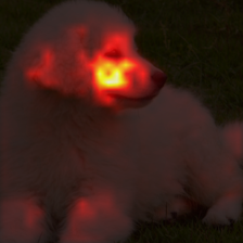 811_7_attn.png