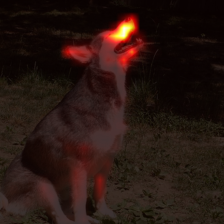 811_8_attn.png