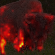 812_4_attn.png