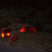 812_5_attn.png