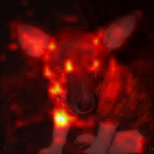 814_1_attn.png