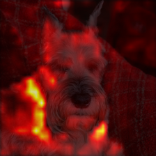 814_2_attn.png